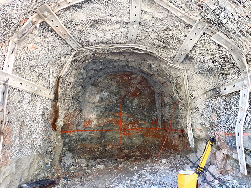 DSI Chile contributes to the successful Development of a new Gold Mine DSI Chile contributes to the successful Development of a new Gold Mine